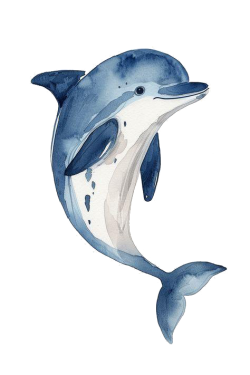 WhatsApp Image 2025-11-19 at 16.03.28